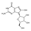 8-Hydroxy Guanosine(5mg/vial) of picture