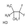 1,1,1-Trifluoro-2-methyl-2-propanamine Hydrochloride(500mg/vial) of picture