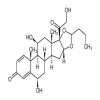6β-Hydroxy Budesonide(1mg/vial) of picture