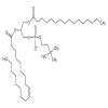 1-Palmitoyl-2-oleoyl-sn-glycerol-3-phosphocholine(25mg/vial) of picture