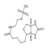N-Biotinylaminoethyl Methanethiosulfonate(10mg/vial) of picture
