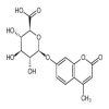 4-Methylumbelliferyl β-D-Glucuronide(100mg/vial) of picture
