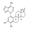 4-Hydroxy Estrone 1-N3-Adenine(1mg/vial) of picture