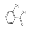 3-Methyl Isonicotinic Acid(500mg/vial) of picture