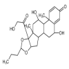 6α-Hydroxy Budesonide(1mg/vial) of picture