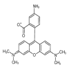 5-Aminotetramethyl Rhodamine(5mg/vial) of picture