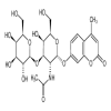 4-Methylumbelliferyl 2-Acetamido-2-deoxy-3-O-(β-D-galactopyranosyl)-α-D-galactopyranoside(1mg/vial) of picture