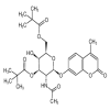 4-Methylumbelliferyl 2-Acetamido-2-deoxy-3,6-dipivaloyl-β-D-galactopyranoside(25mg/vial) of picture