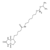 6-N-Biotinylaminohexyl Isopropyl Hydrogenphosphonate(10mg/vial) of picture