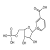 β-Nicotinic Acid Mononucleotide(1mg/vial) of picture