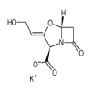 Clavulanic Acid Potassium Salt(10mg/vial) of picture