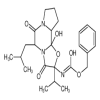 [2R-(2α,5α,10aβ,10bα)]-[Octahydro-10b-hydroxy-2-(1-methylethyl)-5-(2-methylpropyl)-3,6-dioxo-8H-oxazolo[3,2-a]pyrrolo[2,1-c]pyrazin-2-yl]-carbamic Acid(1mg/vial) of picture