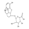 Dihydro Normorphine 6-O-β-D-Glucuronide(1mg/vial) of picture