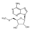 5'-Deoxy-5'-(methylthio)adenosine(100mg/vial) of picture