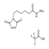 6-Maleimidocaproic Acid Hydrazide, Trifluoroacetic Acid(10mg/vial) of picture