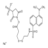 2-(Dansylsulfonamido)ethyl-3-(N-sulfosuccinimidylcarboxy)ethyl Disulfide, Sodium Salt(10mg/vial) of picture