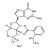2'-(N-Methylanthraniloyl) Guanosine 3',5'-Cyclic Monophosphate Sodium Salt(5mg/vial) of picture