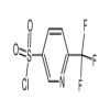 6-Trifluoromethyl-3-pyridinesulfonyl Chloride(50mg/vial) of picture