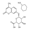 4-Methylumbelliferyl α-L-Idopyranosiduronic Acid Cyclohexylammonium Salt(5mg/vial) of picture