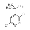 4-tert-Butyl-3,6-dichloropyridazine(100mg/vial) of picture