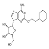 2-(2-Cyclohexylethoxy)adenosine(100mg/vial) of picture