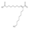 10-Nitro Oleic Acid(250mg/vial) of picture