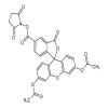 5(6)-Carboxyfluorescein 3’,6’-Diacetate N-Succinimidyl Ester(25mg/vial) of picture