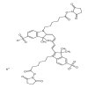 Cyanine 5 Bihexanoic Acid Dye, Succinimidyl Ester, Potassium Salt(0.5mg/vial) of picture
