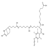 2-[N2-(4-Azido-2,3,5,6-tetrafluorobenzoyl)-N6-(6-biotinamidocaproyl)-L-lysinyl]ethyl 2-Carboxyethyl Disulfide(1mg/vial) of picture